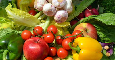 acquistare semi di fiori vegetali polacchi all'ingrosso