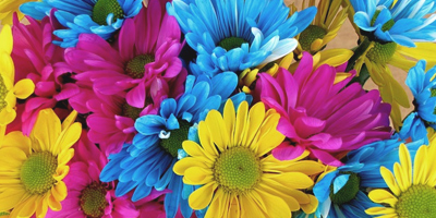 acquistare semi di fiori vegetali polacchi all'ingrosso